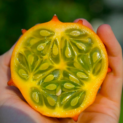 Kiwano Melon Cut in Half